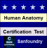 Human Anatomy and Physiology Certification Test