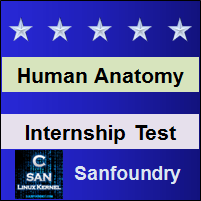 Human Anatomy and Physiology Internship Test