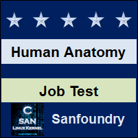 Human Anatomy and Physiology Job Test