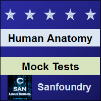 Human Anatomy and Physiology Mock Tests