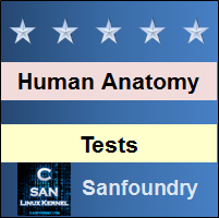 Human Anatomy and Physiology Tests