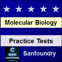 Molecular Biology Practice Tests
