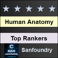 Top Rankers - Human Anatomy and Physiology