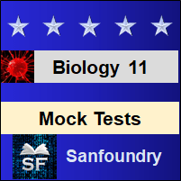 Biology - Class 11 Mock Tests
